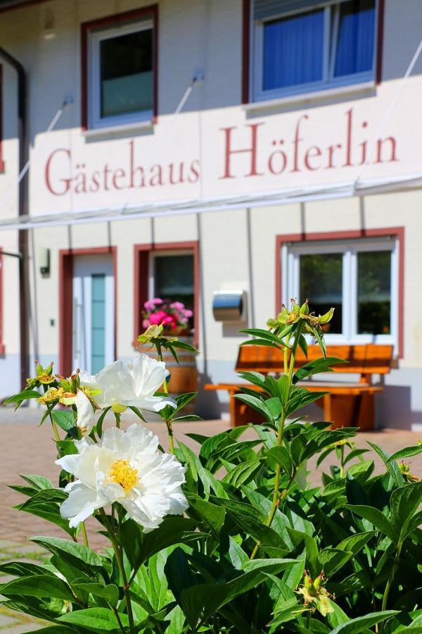 Gaestehaus Hoeferlin Bad Bellingen Exterior photo